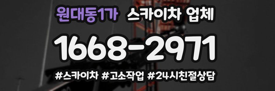 원대동1가 스카이차 업체