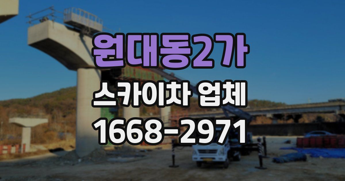 원대동2가 스카이차 업체