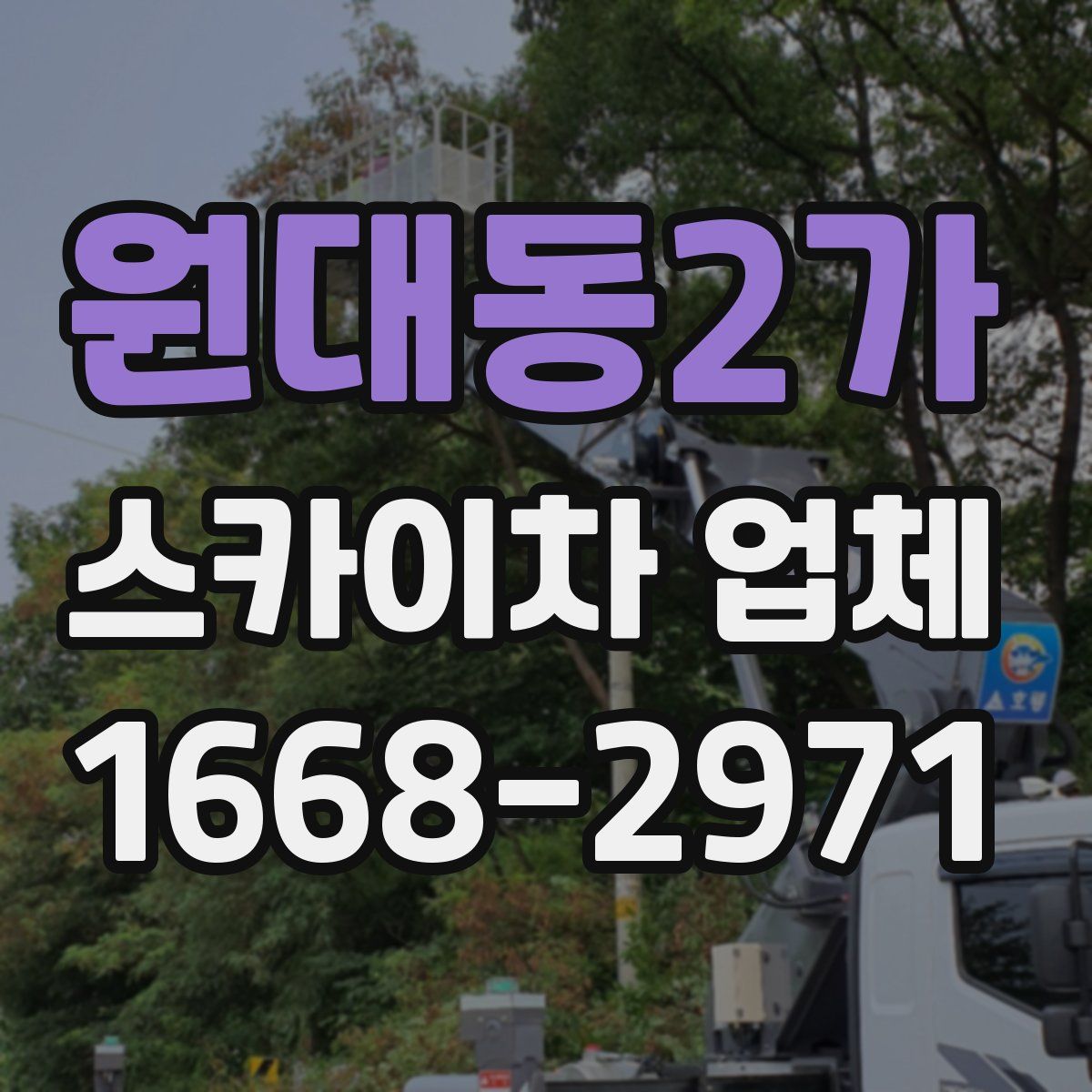 원대동2가 스카이차 업체
