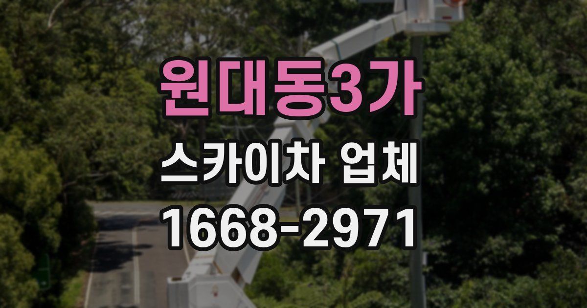 원대동3가 스카이차 업체