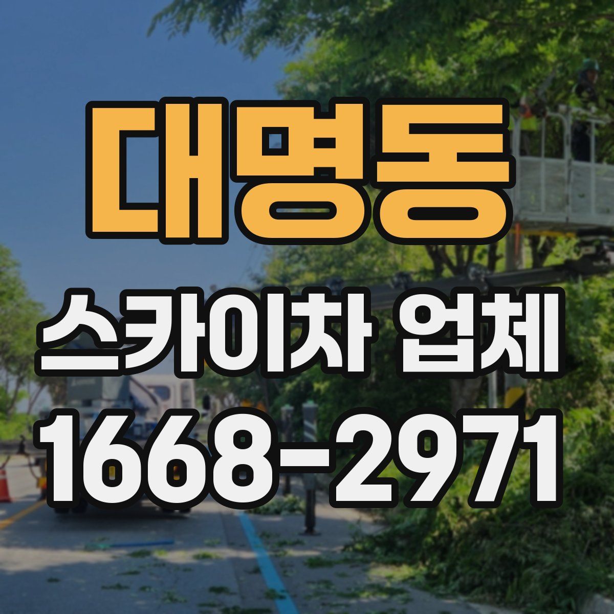 대명동 스카이차 업체