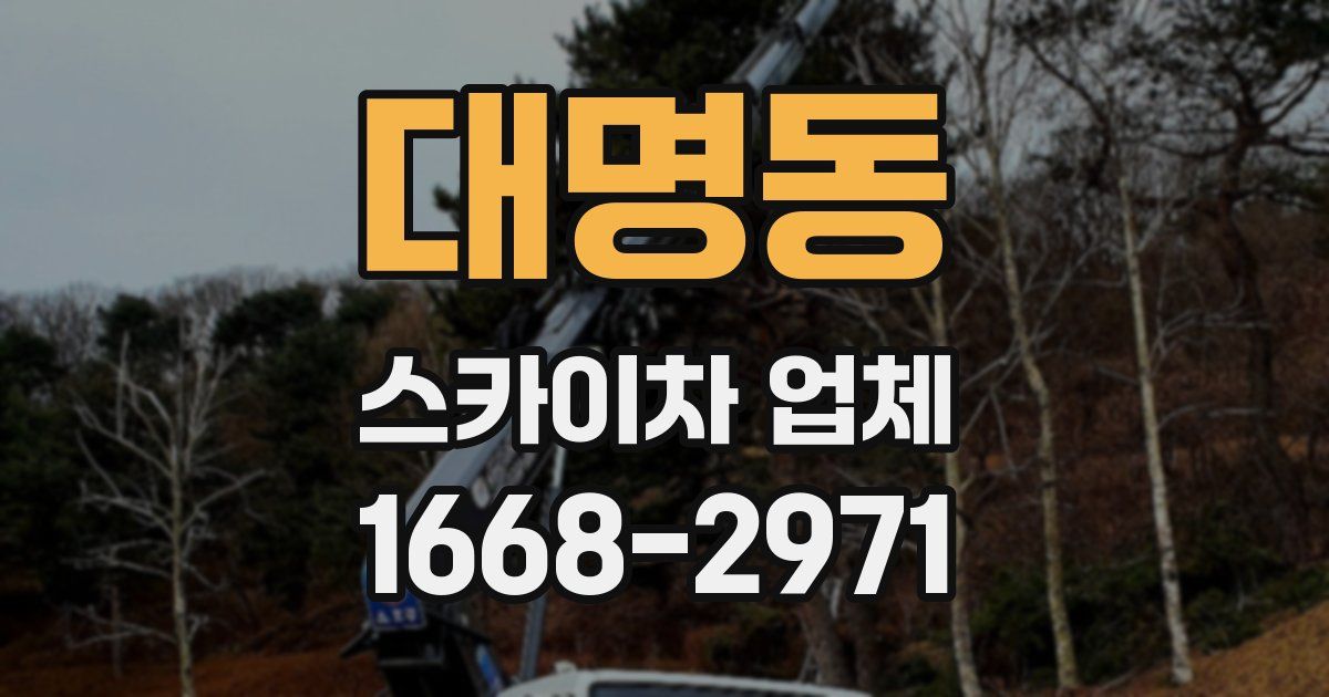 대명동 스카이차 업체