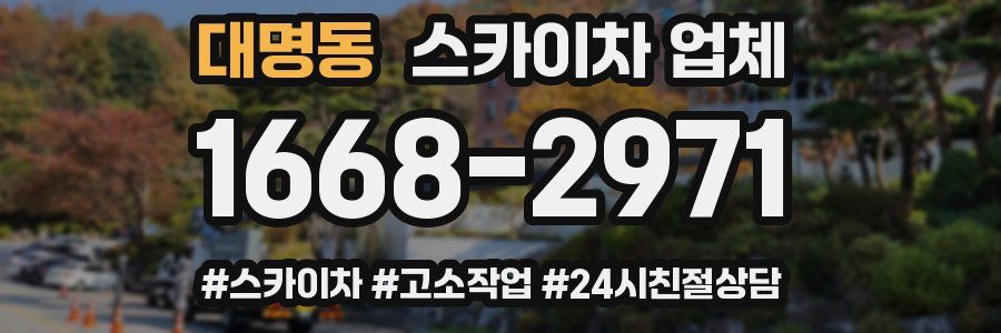대명동 스카이차 업체
