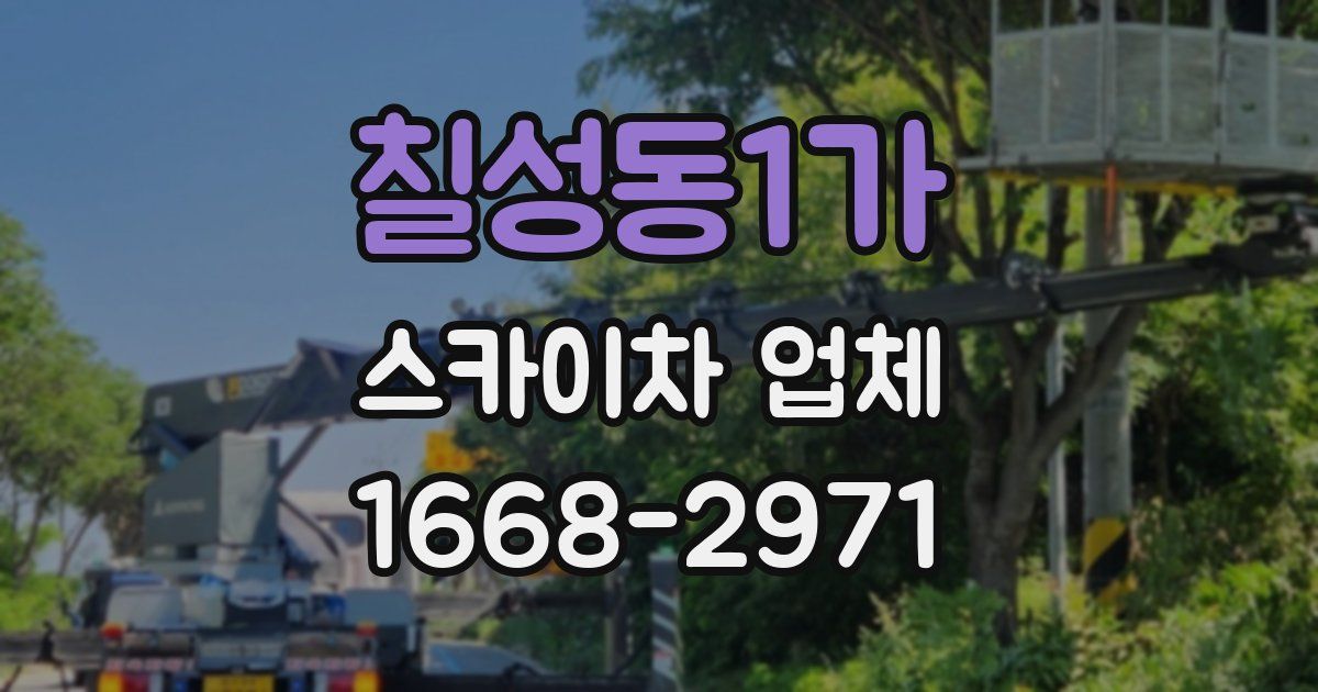 칠성동1가 스카이차 업체