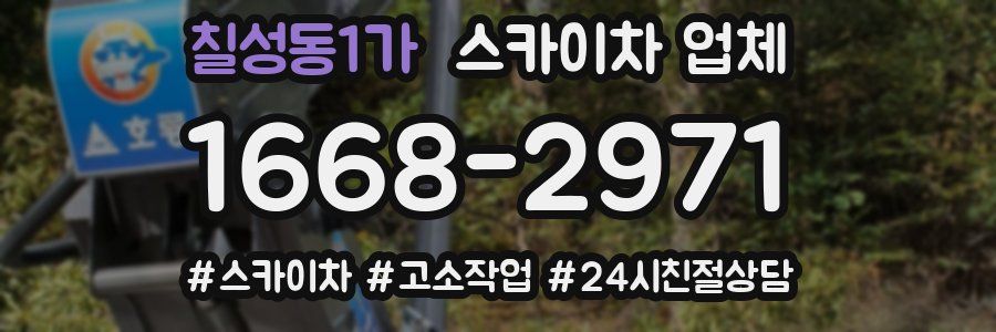 칠성동1가 스카이차 업체