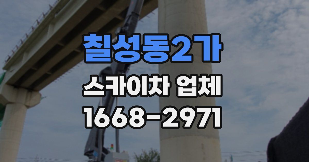 칠성동2가 스카이차 업체