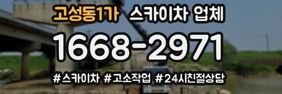 고성동1가 스카이차 업체