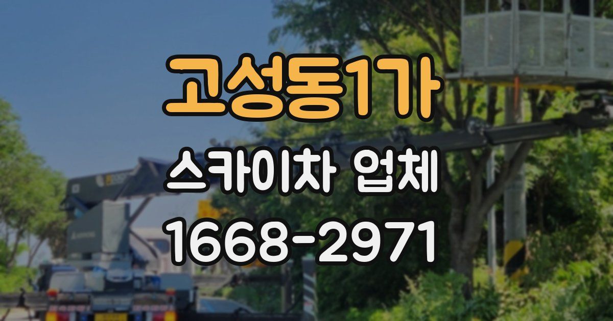 고성동1가 스카이차 업체