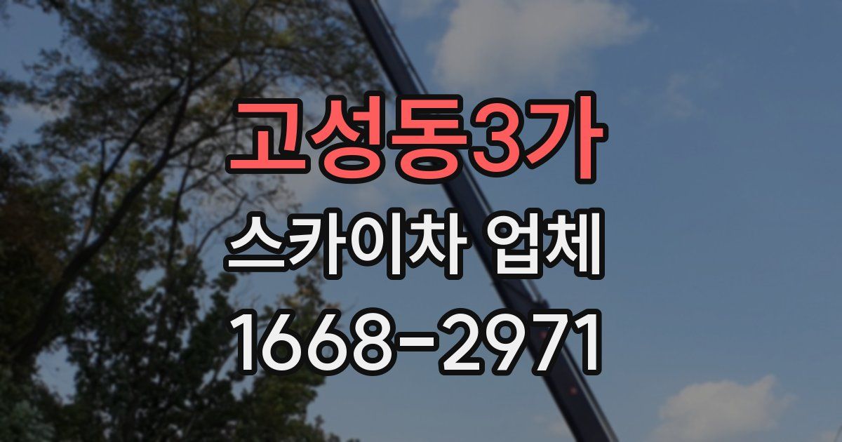 고성동3가 스카이차 업체