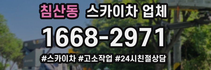 침산동 스카이차 업체