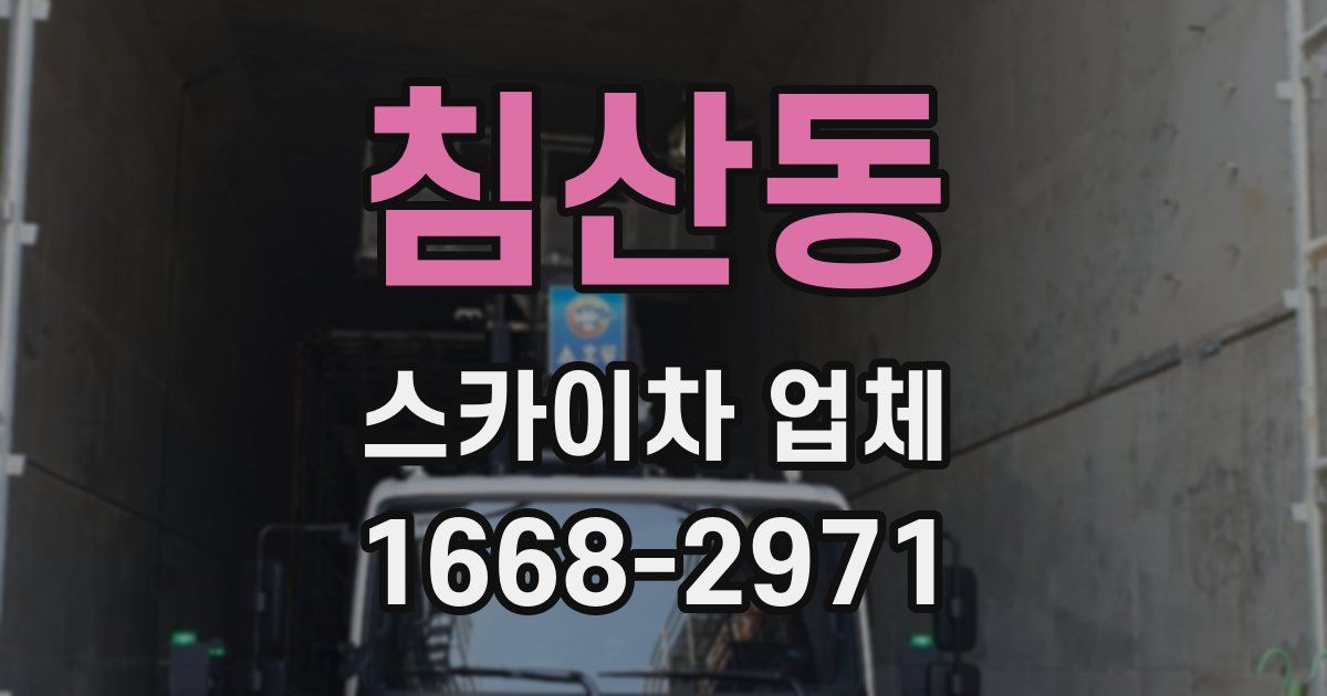 침산동 스카이차 업체