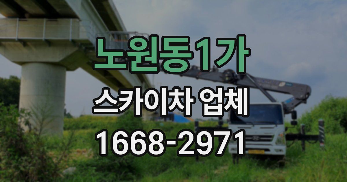 노원동1가 스카이차 업체
