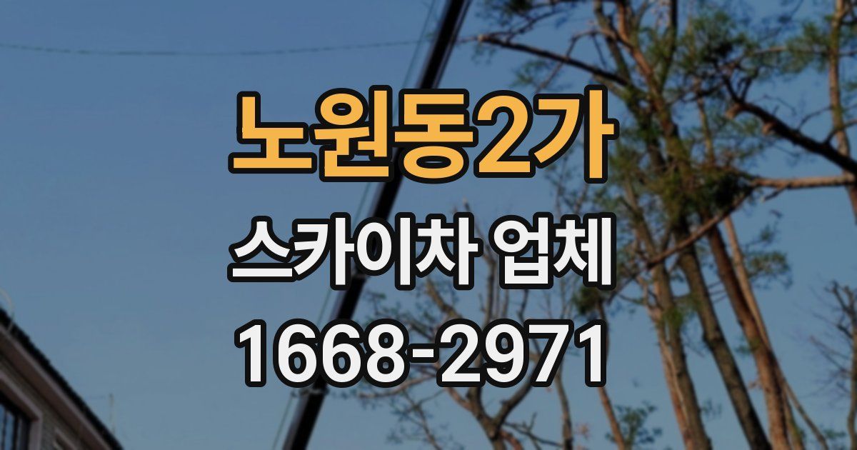 노원동2가 스카이차 업체