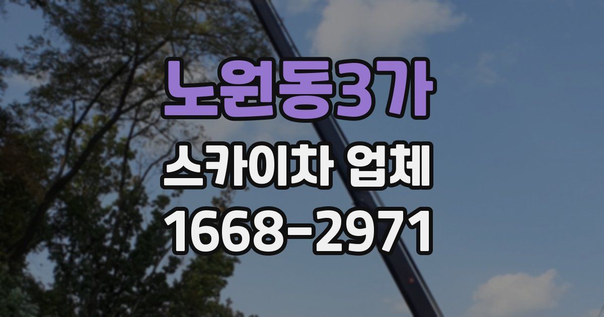노원동3가 스카이차 업체