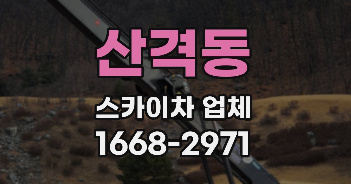산격동 스카이차 업체