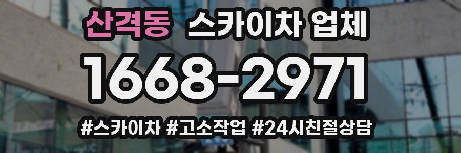 산격동 스카이차 업체