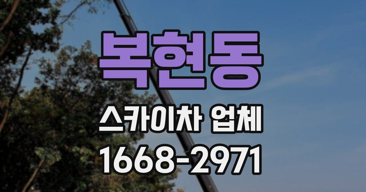 복현동 스카이차 업체