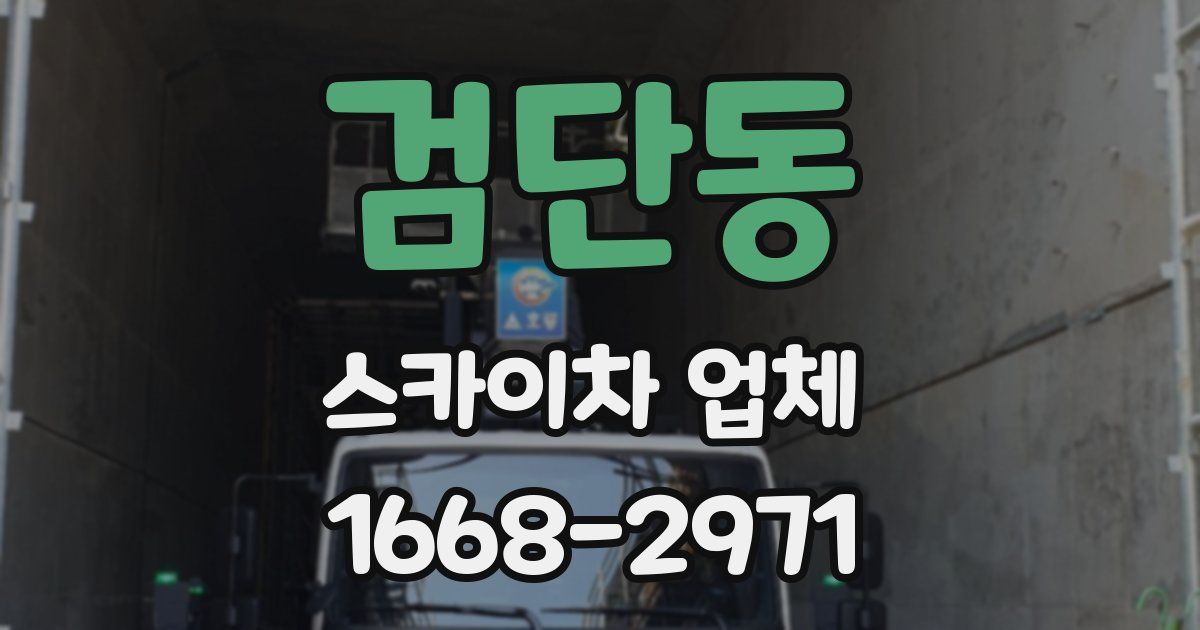 검단동 스카이차 업체