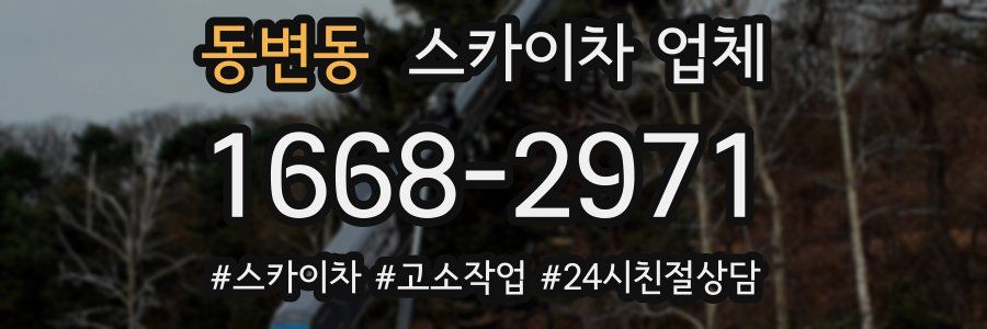 동변동 스카이차 업체