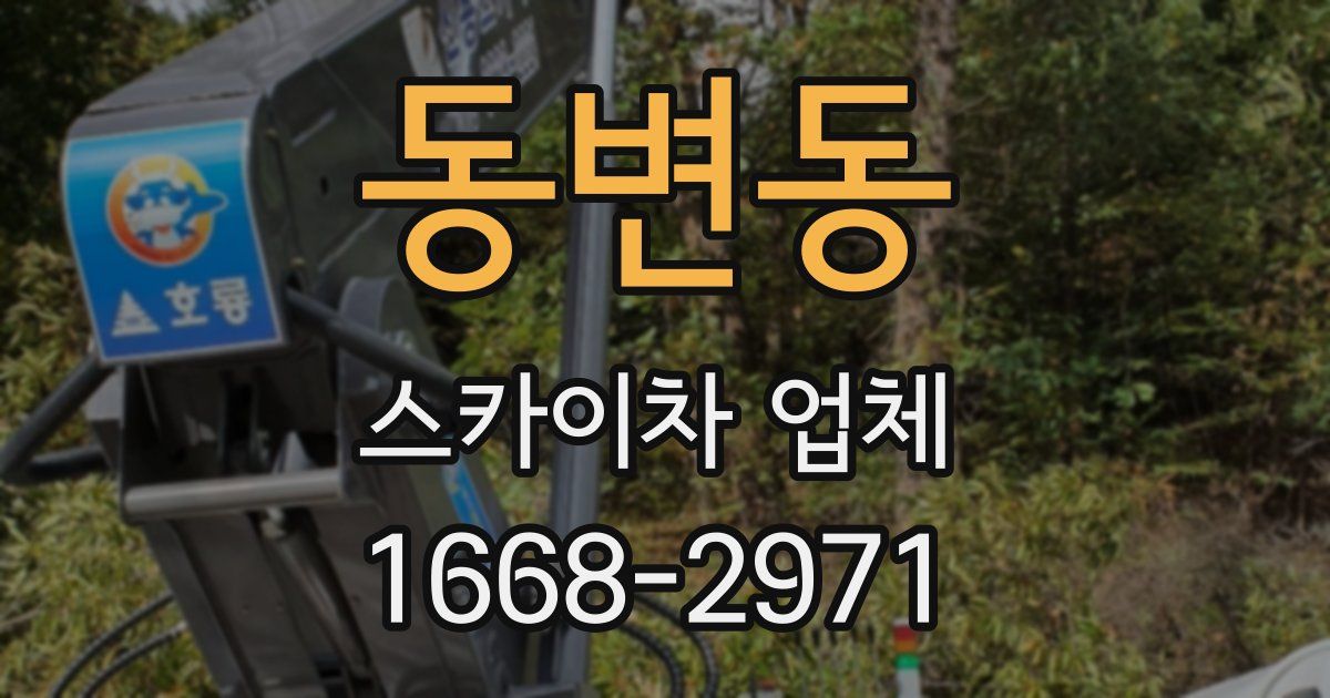 동변동 스카이차 업체