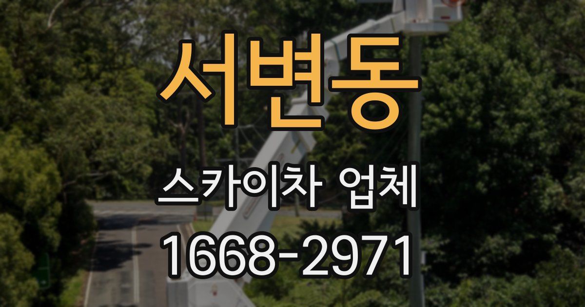 서변동 스카이차 업체