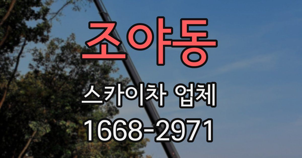 조야동 스카이차 업체