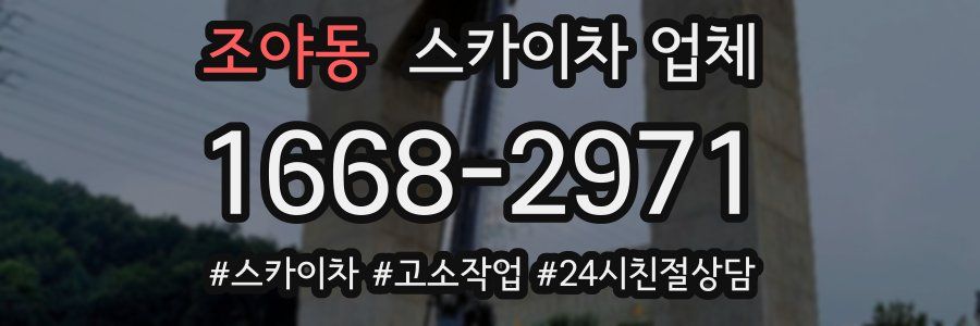 조야동 스카이차 업체
