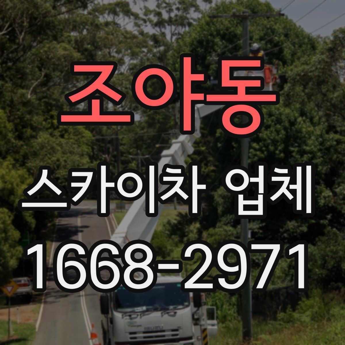 조야동 스카이차 업체