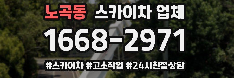 노곡동 스카이차 업체