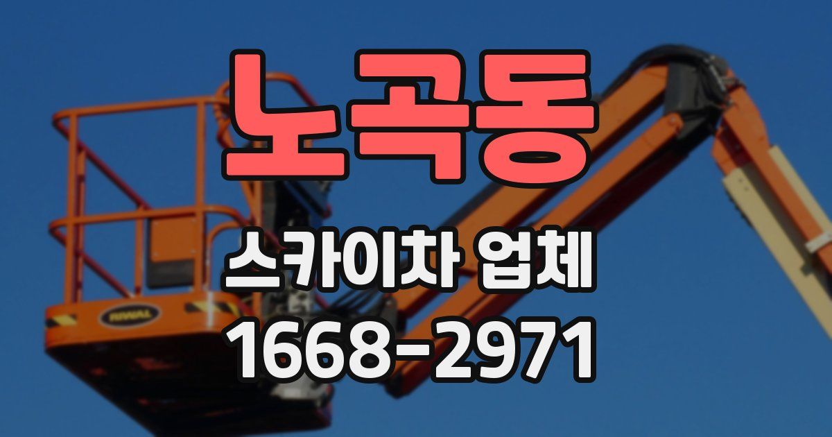 노곡동 스카이차 업체