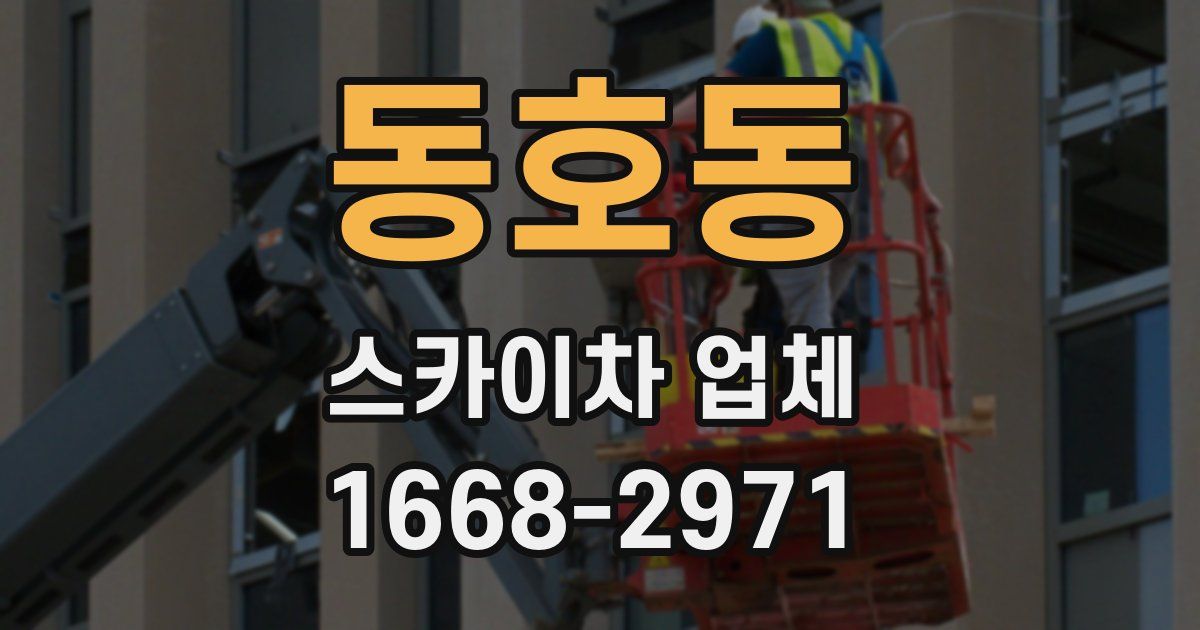동호동 스카이차 업체