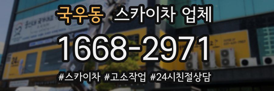 국우동 스카이차 업체