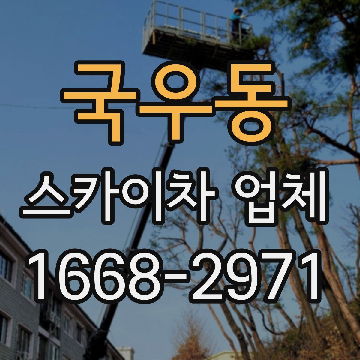 국우동 스카이차 업체