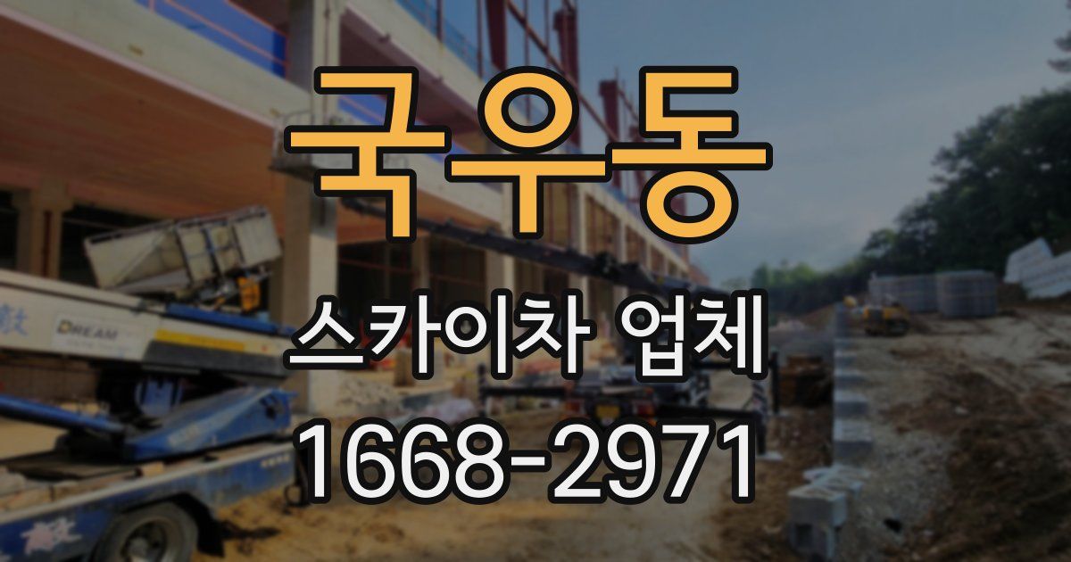 국우동 스카이차 업체