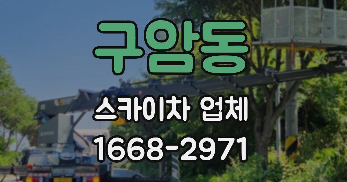 구암동 스카이차 업체