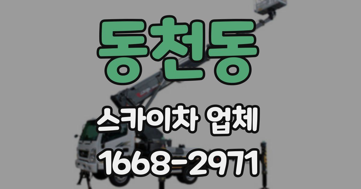 동천동 스카이차 업체