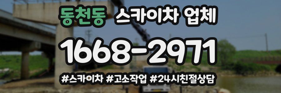 동천동 스카이차 업체