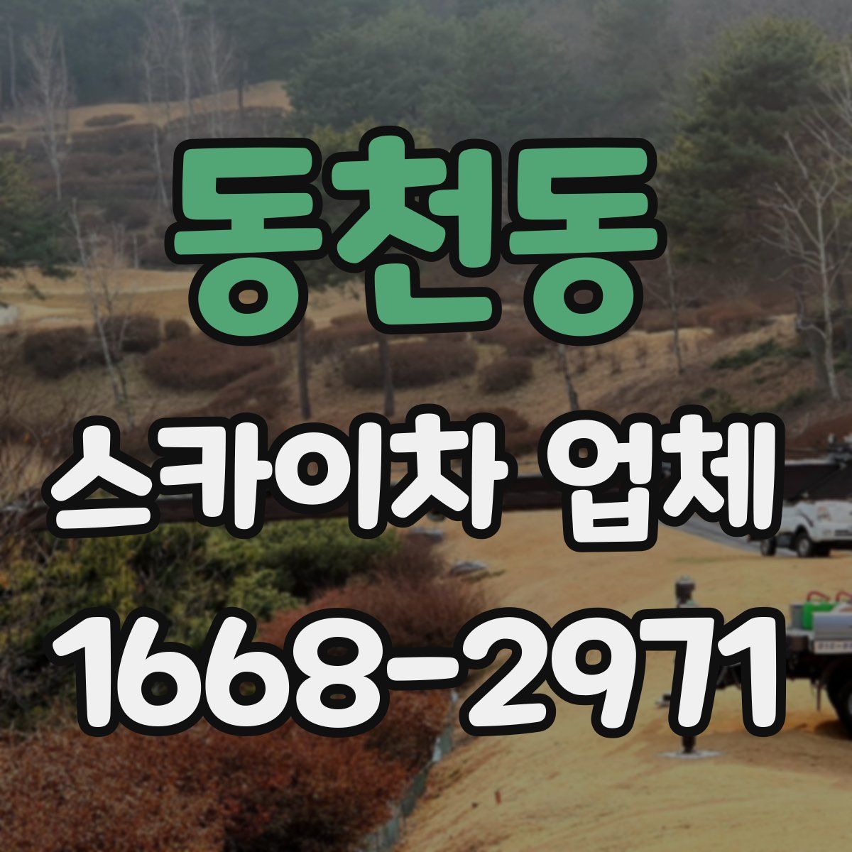 동천동 스카이차 업체