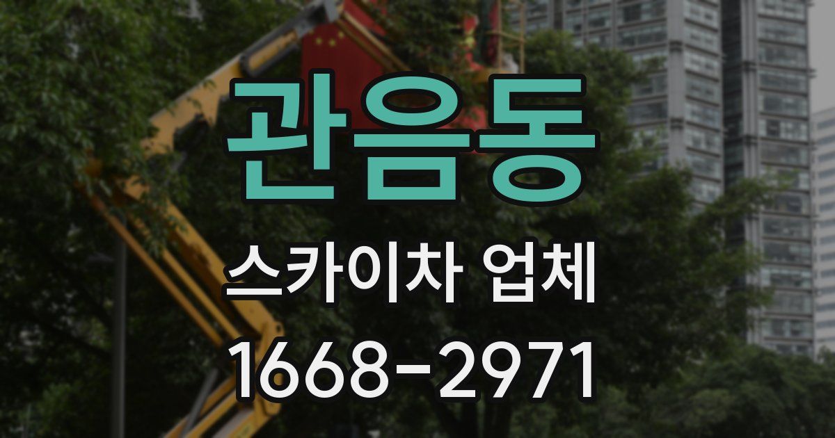 관음동 스카이차 업체