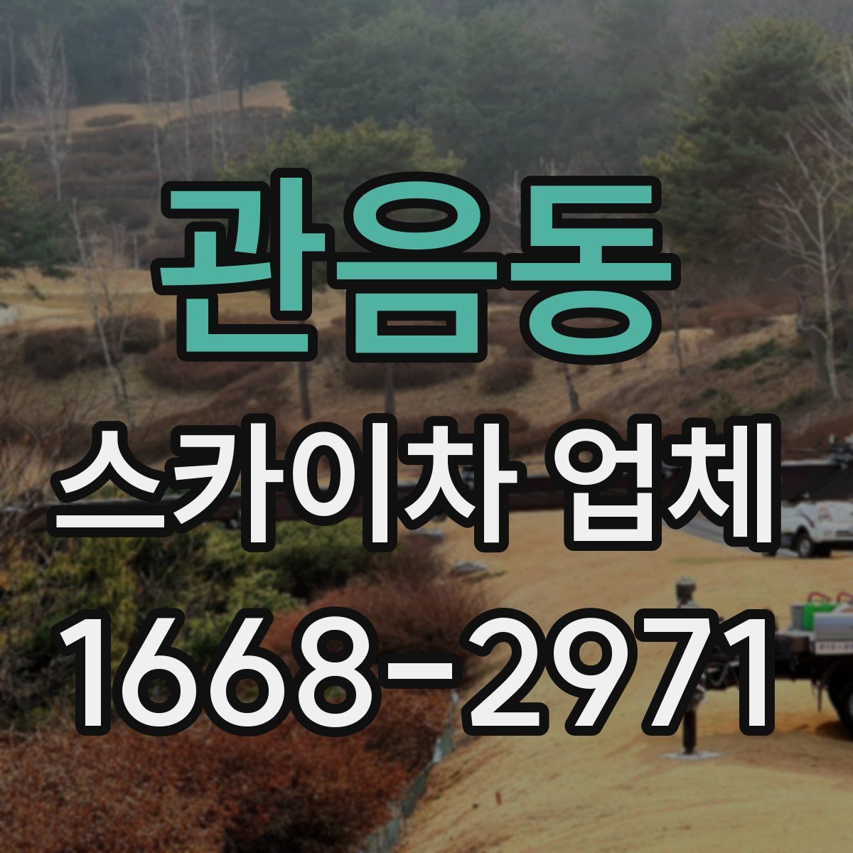 관음동 스카이차 업체