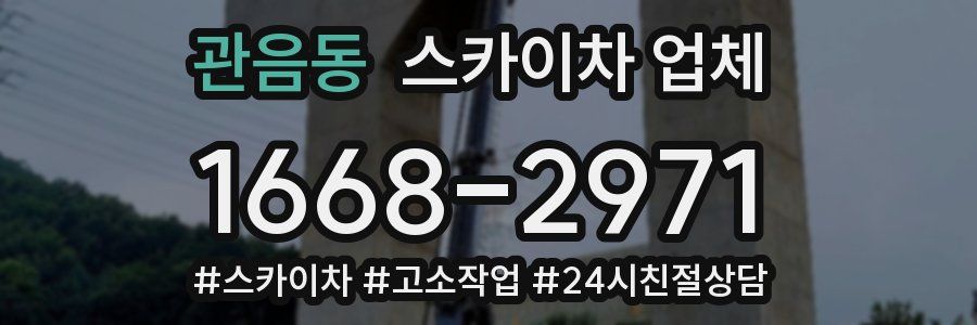 관음동 스카이차 업체