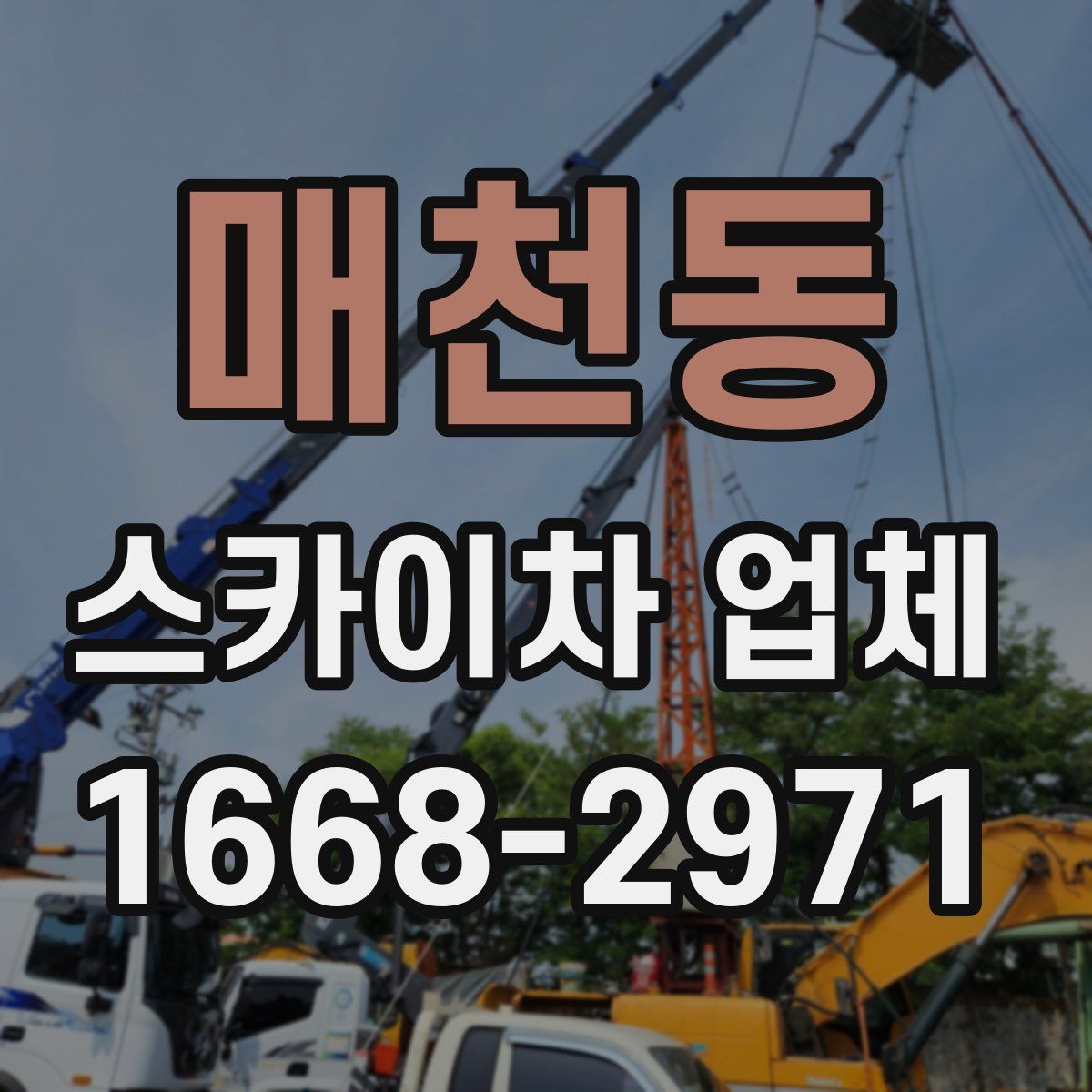 매천동 스카이차 업체