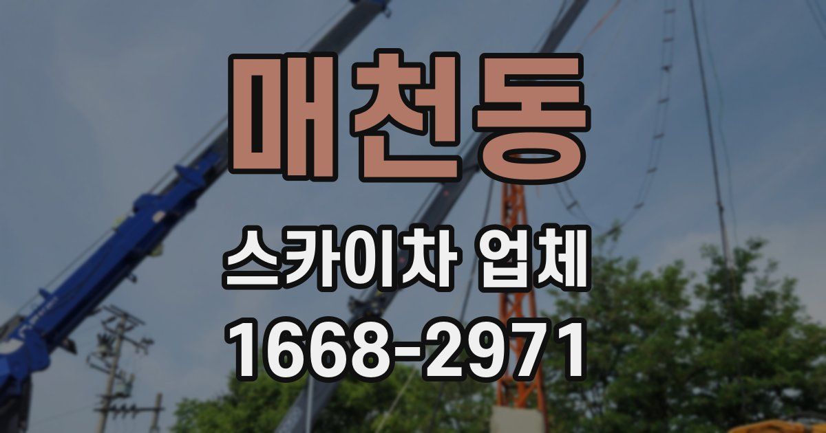 매천동 스카이차 업체