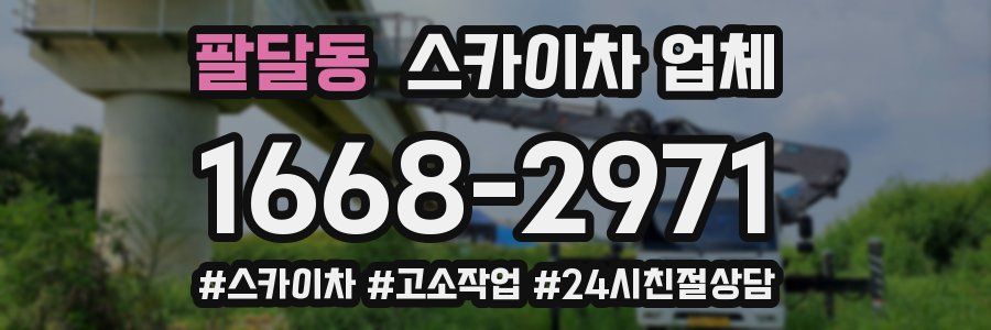 팔달동 스카이차 업체