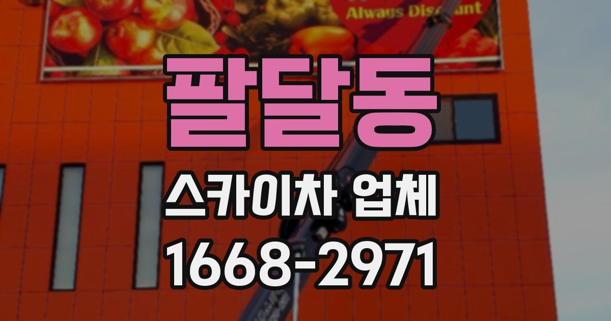 팔달동 스카이차 업체