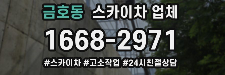 금호동 스카이차 업체