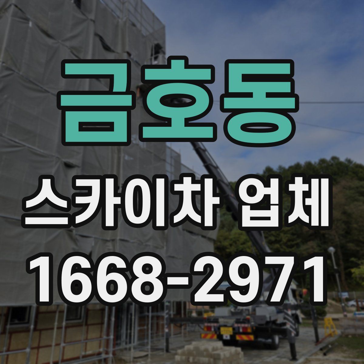 금호동 스카이차 업체