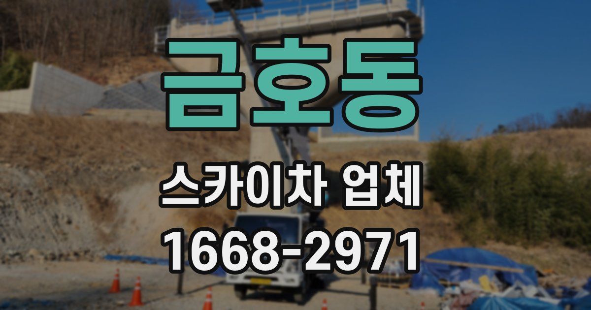 금호동 스카이차 업체