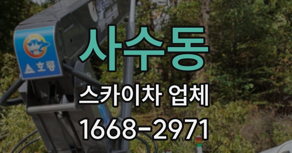 사수동 스카이차 업체
