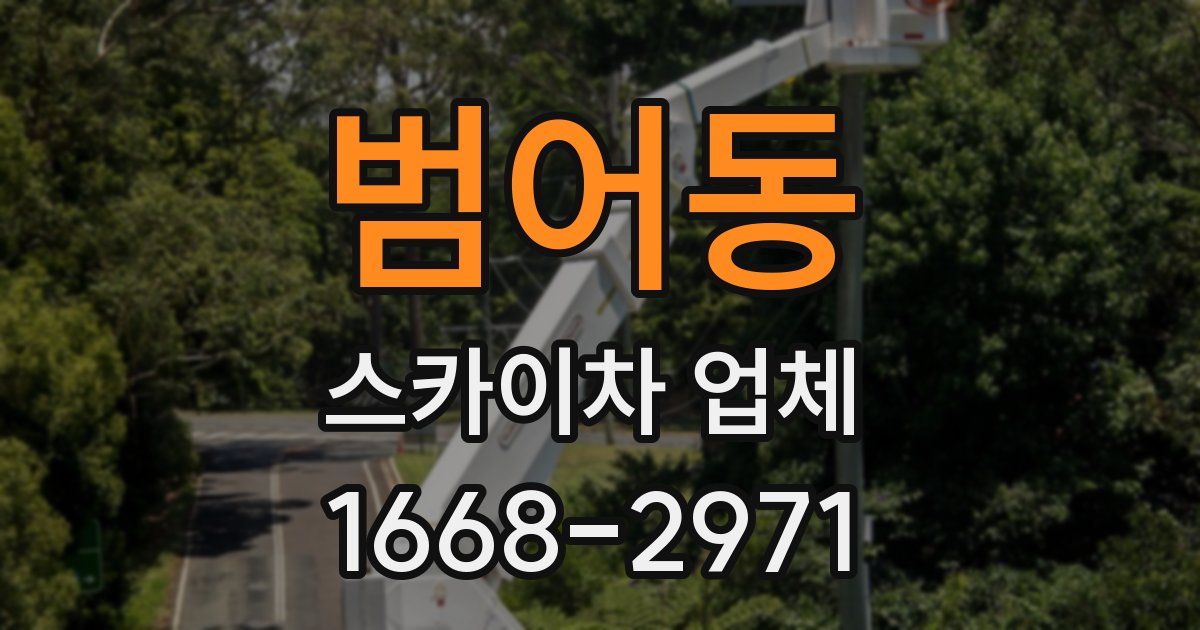 범어동 스카이차 업체